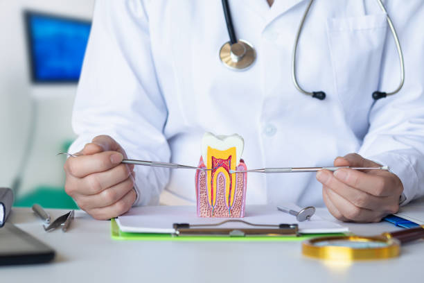 Best Emergency Gum Pain Relief  in Hillsbo, OR